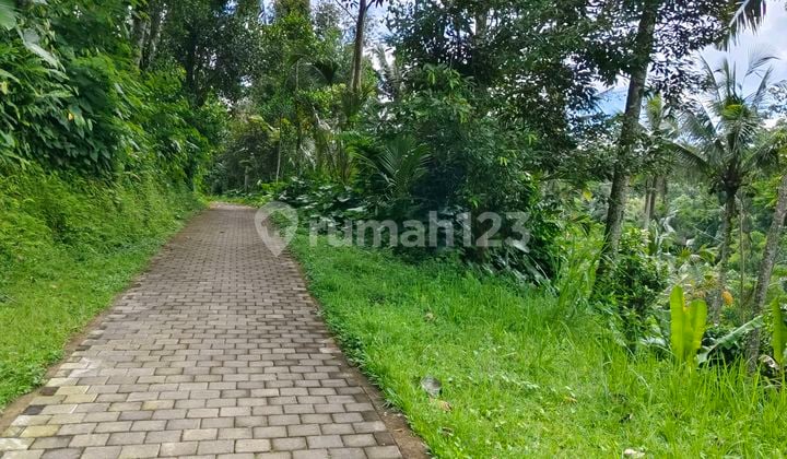 Tanah Los Sungai dengan View Lembah dan Hutan