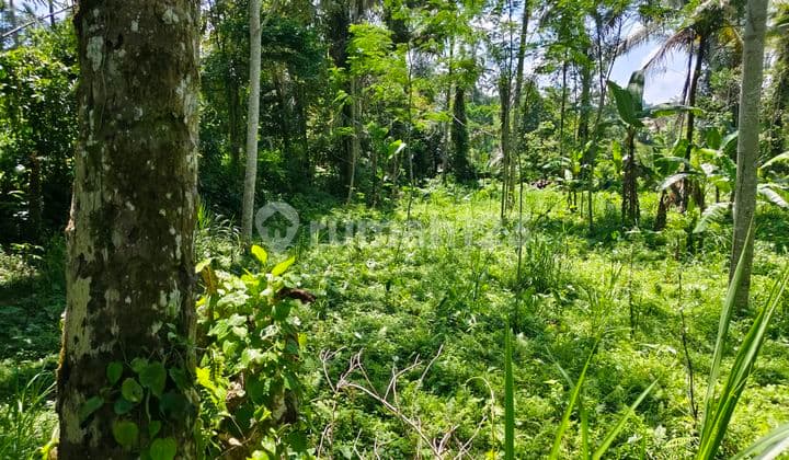 Di Jual Tanah 100 % Datar Siap Di Bangun