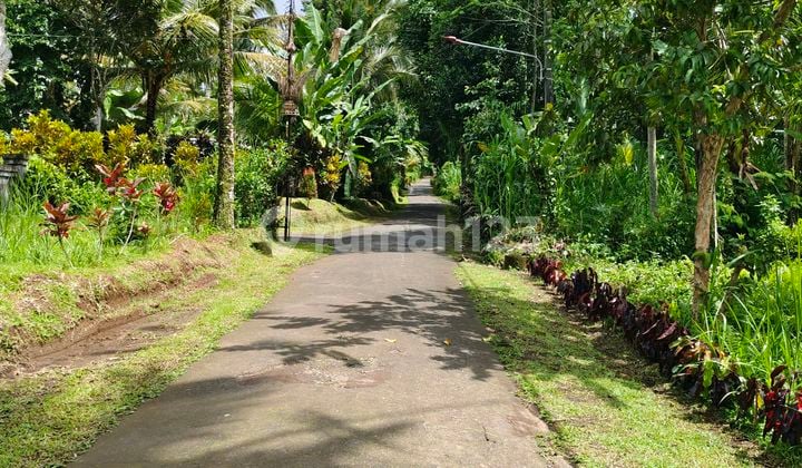 Tanah Datar Siap di Bangun Bebas Banjir Suasana Sejuk Lingkungan Tenang