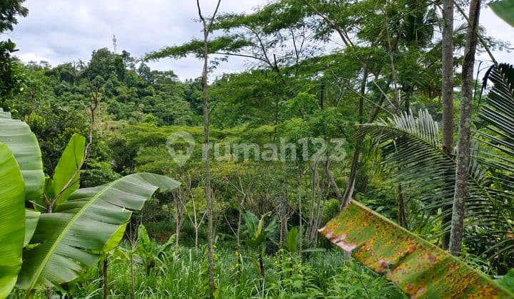 Land Terrace Often With Valley Views Suitable For Villa Or Long-Term Investment