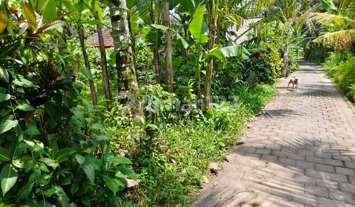 Di Jual Tanah Datar Kawasan Villa Los Sungai