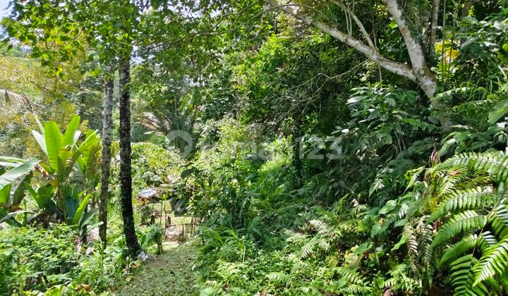 Di Jual Tanah Murah