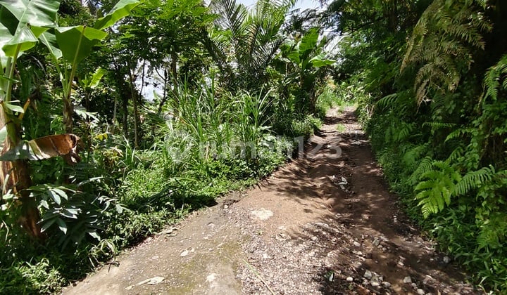 Tanah Murah Di Bali. Butuh Uang Cepat Tanah Datar Siap Di Bangun