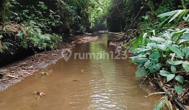Langka Jarang Ada Tanah Los Sungai View Lembah