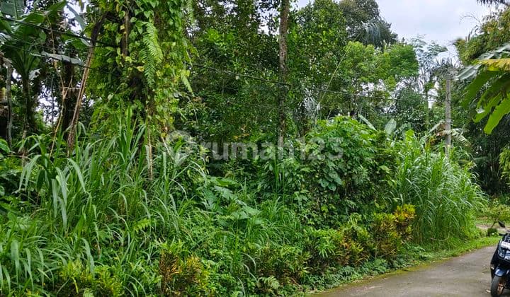 For Sale Cheap Land Next to Main Road Land