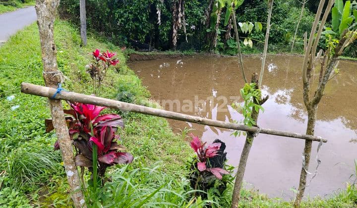Di Jual Tanah Lokasi Pinggir Jalan. Lingkungan Tenang Dan Nyaman