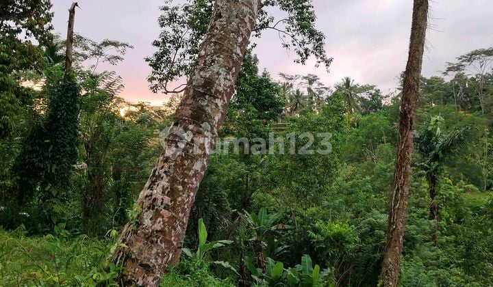 Tanah Pinggir Jalan Cocok Untuk Villa