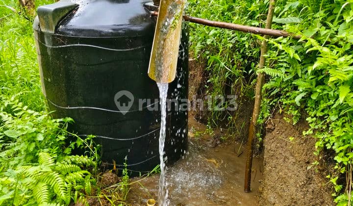 Jarang Ada Tanah dengan Sumber Mata Air Cukup Besar di Jual