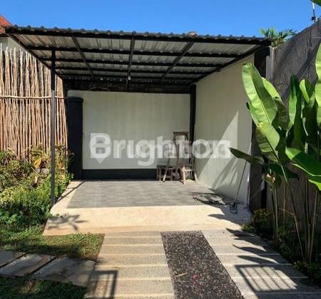 Sewa Rent Villa In Betngandang, Sanur - Strategic, Stylish & Ready To Move In