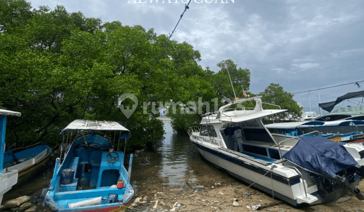 West Coast Tanjung Benoa Beach Land For Sale Cheap