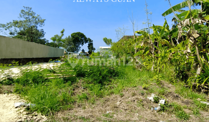 Tanah Luasan Kecil Lokasi Jl Raya Uma Buluh, Canggu Dijual