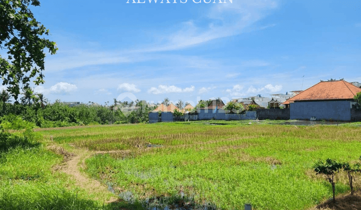 Tanah di Jalan Utama Pantai Seseh - Badung Bali Dijual/Disewakan