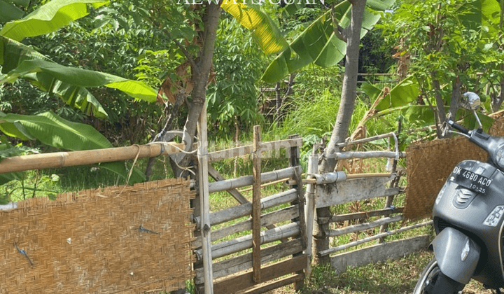 Dijual Kavling Siap Bangun Harus Laku Bulan Ini!!