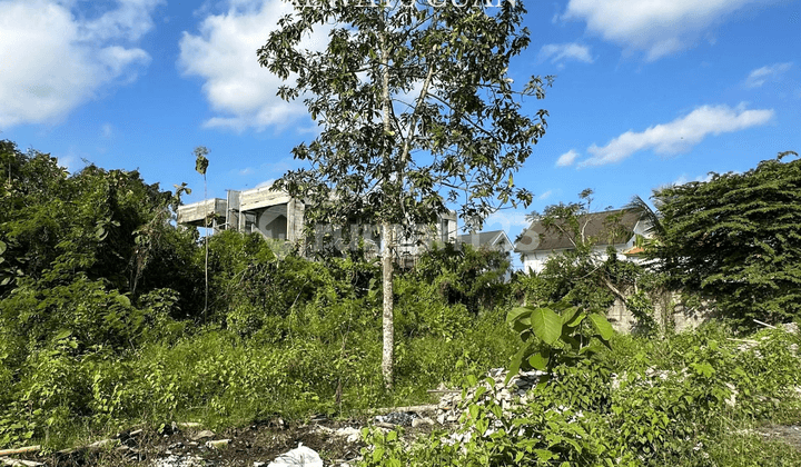 Tanah Kawasan Villa Siap Disewakan Jangka Panjang