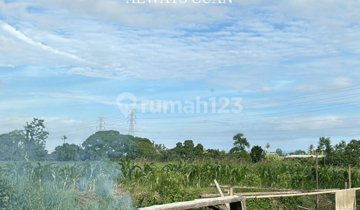 Land for Sale at Buduk Banjar Kaja Location