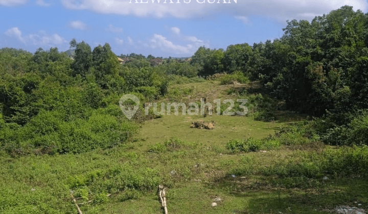 Tanah Pinggir Jalan Dekat Pantai Green Bowl Dijual