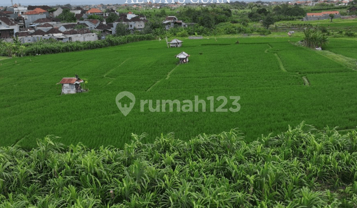 Large Land Suitable for Villa, etc. For Rent