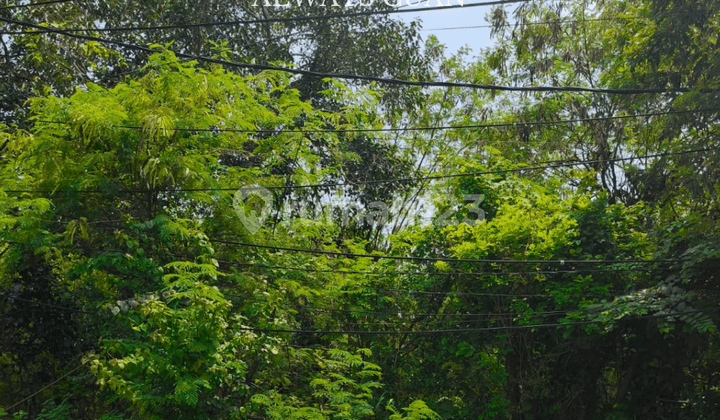 Tanah di Kawasan Hotel Bintang 5 Nusa Dua Disewakan