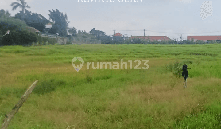 Tanah Kosong Area Wisata Dijual di Kuta Utara