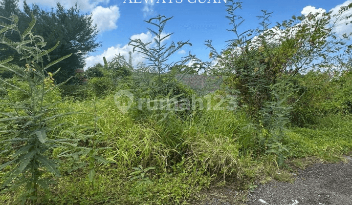 Land Ready for Building Area as is for Sale