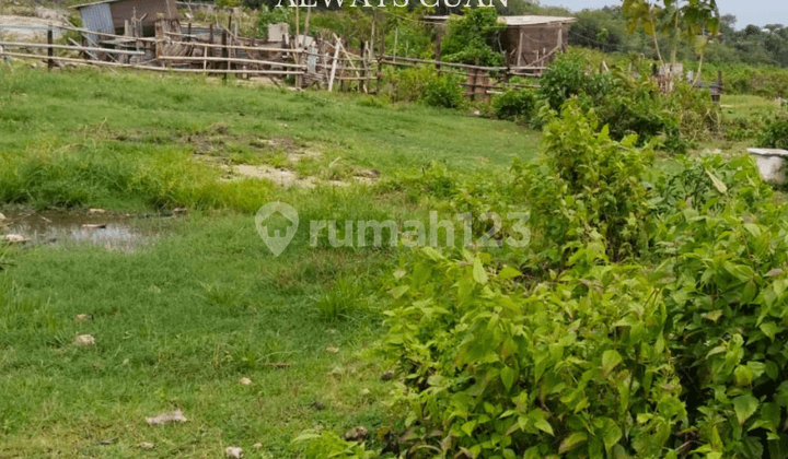 Tanah Datar Siap Dibangun Area Kutuh Bali