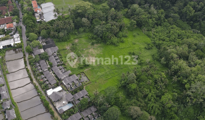 For Sale Cheap Land in Ubud Pink Zone, Ready to Build