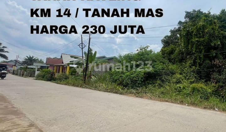 tanah pinggir jalan tanah mas