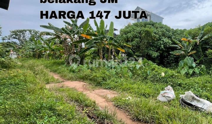 tanah kebun bunga palembang