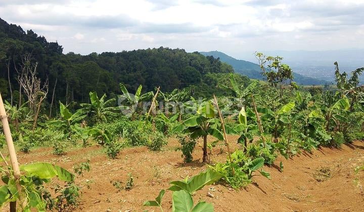 Tanah SHM Lokasi Strategis di Tunagan, Cianjur