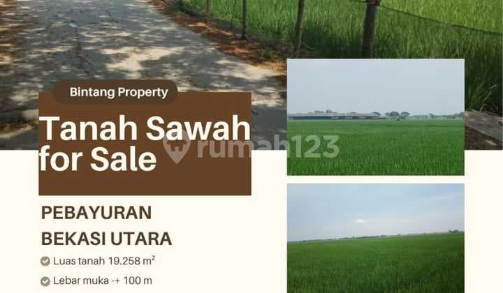 Tanah Sawah Di Pebayuran Shm 19.0 Ha Bekasi Utara