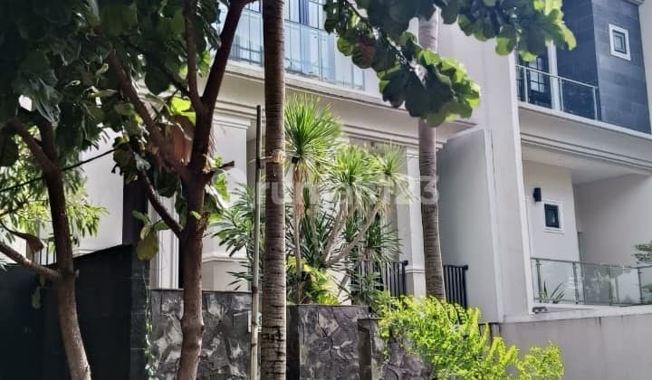 Rumah Bagus Harga Murah 2 Lantai di Dalam Cluster Asoka, Jakarta Selatan Cash Only!