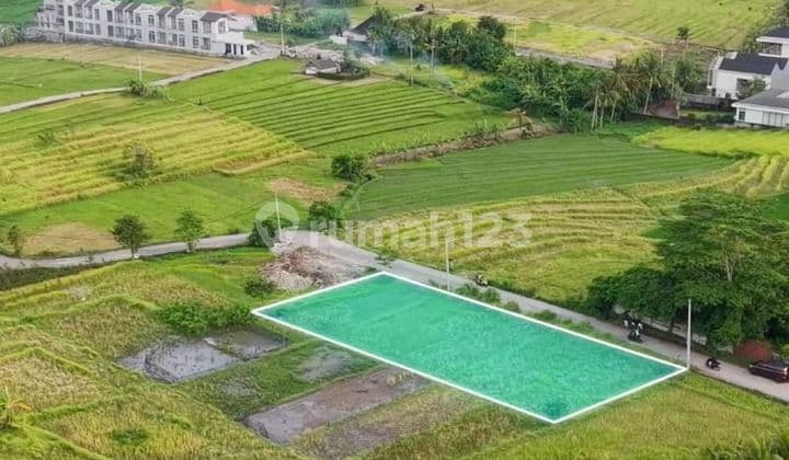 Tanah View Sawah di Galiran Nyanyi Beraban Dkt Kedunggu Cemagi Seseh Tanah Dekat