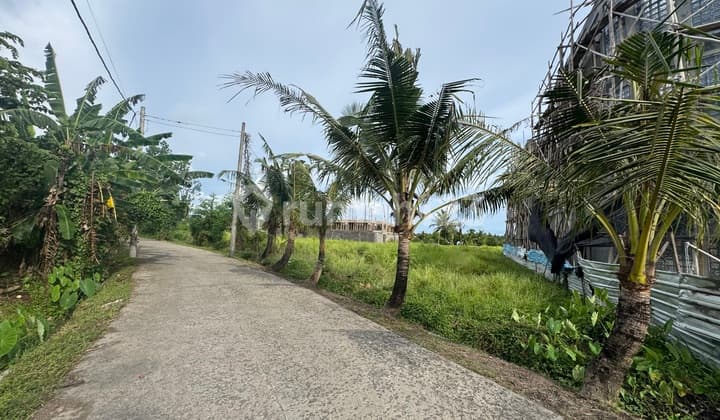 Tanah View Laut Cocok Untuk Villa Di Kedungu Dekat Pantai Nyanyi Seseh Cemagi