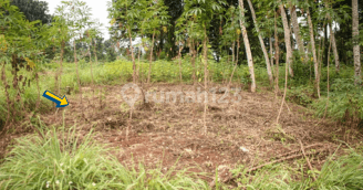 Land for Sale in Ngaliyan Area (BPAS)