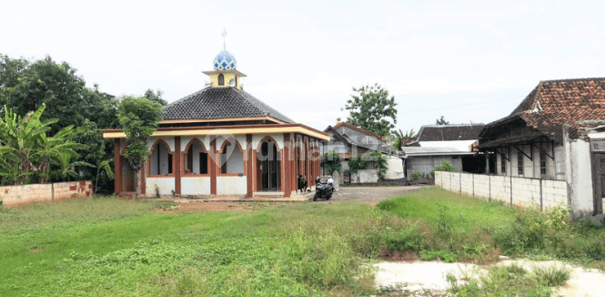 Dijual Tanah Di daerah Kangkung, kendal (BPAS)