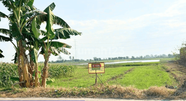 Land for Sale in Bulungcangkaring Area, Kudus Regency (BPAS)