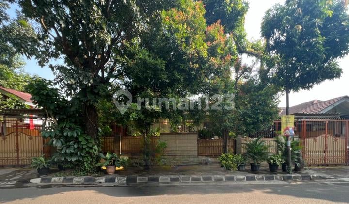 Dijual Rumah Elegan 1 Lantai, LT 500m², Hadap Tenggara, Siap Huni di BSD City