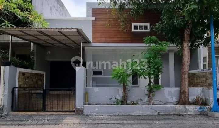 Alc Disewakan Rumah Murah Citraland International Village