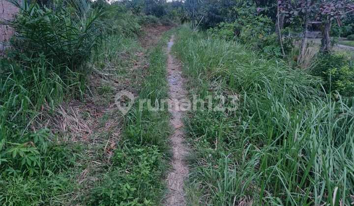 Dijual Tanah 1,5 Ha - Harga Di Bawah Pasaran, Shm