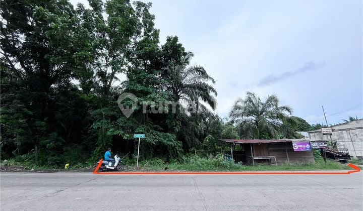 Tanah Dekat Pt Wilmar & Spbu Mundam - Arifin Ahmad Dumai