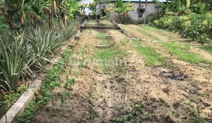 Tanah Luas 1.045 M² SHM - Lokasi Strategis Dekat Jl. Srikandi