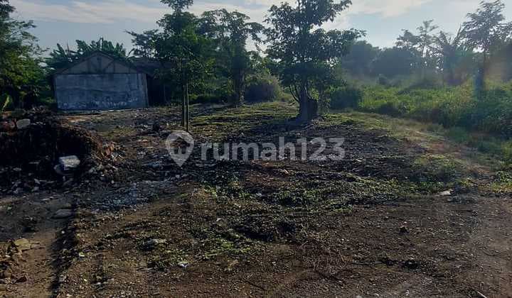 Tanah 7 Ha Pinggir Jalan Aspal di Legok Tangerang - SHM