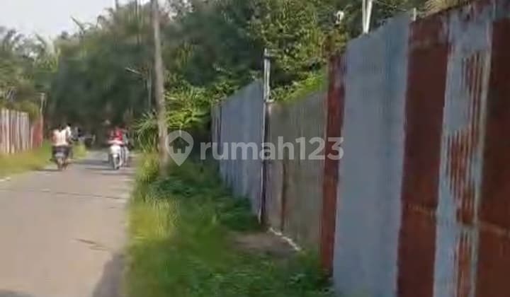 Tanah Luas 9.700 M² Di Deli Serdang - Bonus Rumah & Durian Produksi