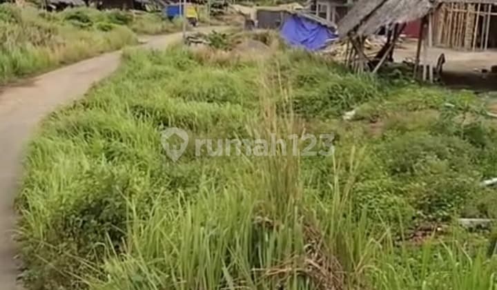 Jual Tanah di Jalur Cilegon