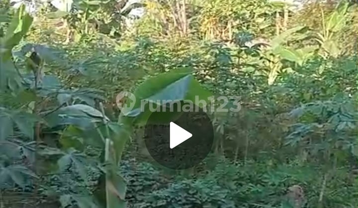 Jual Tanah di Pakupatan Dekat Kampus