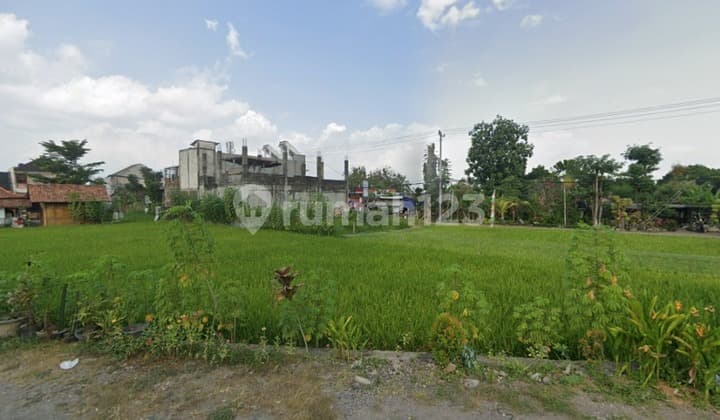 Tanah SHM Premium 790 m2 Meter Persegi Di Condong Catur