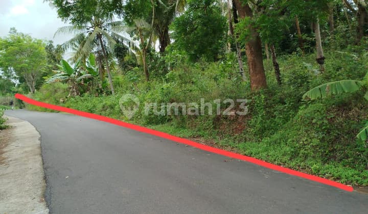 Tanah Luas Kulon Progo, View Keren, Akses Mobil, Cocok Wisata