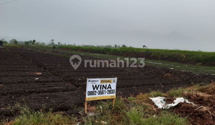 Tanah Murah Premium Dekat Kampus Besar Di Malang Shm 6989m2