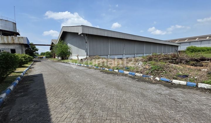 Dijual Ex Pabrik Ternama di Area Industri Gresik