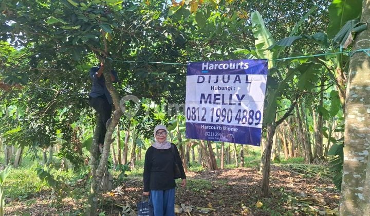 Dijual.cepat Tanah Di Pasir Tanjung Bogor